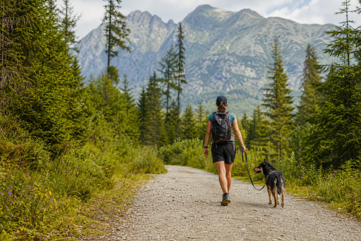 Tatry so psom: pravidlá TANAP-u a ako overiť povolenú trasu